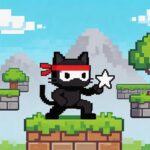 Cat Ninja Guide